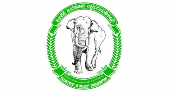 இன்று முதல் Online ஊடாக நுழைவுச்சீட்டு விநியோகம்